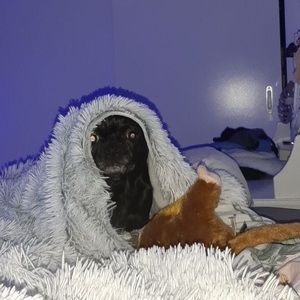 Meet your Posher, Claudia